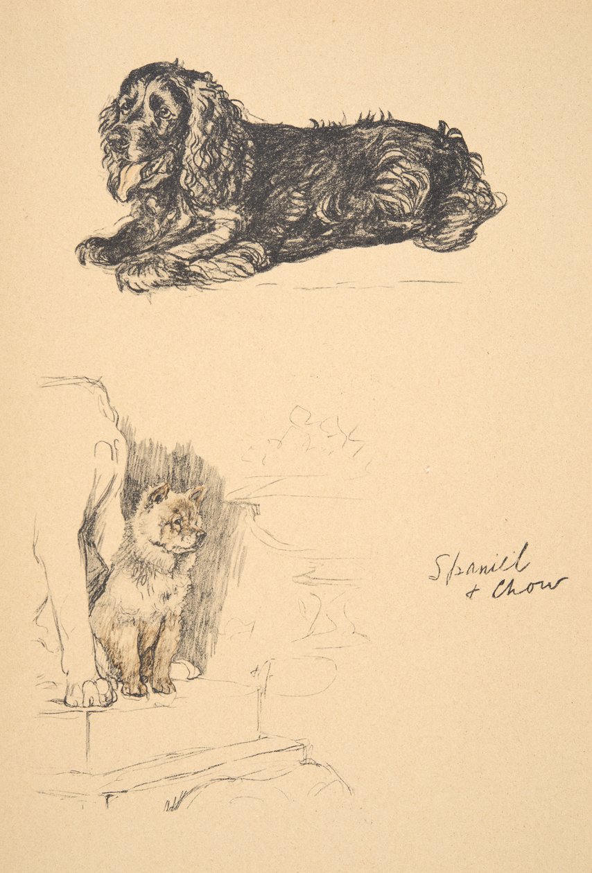 Spaniel ve Chow, 1930, Sadece Arkadaşlar Arasında, Aldin, Cecil Charles Windsor (1870-1935) için kullanılan Eskiz Kitabından Çizimler, daha sonra Eyre ve Spottiswoode Limited tarafından yayınlandı, 1934, Chalk ve Char by Cecil Charles Windsor Aldin