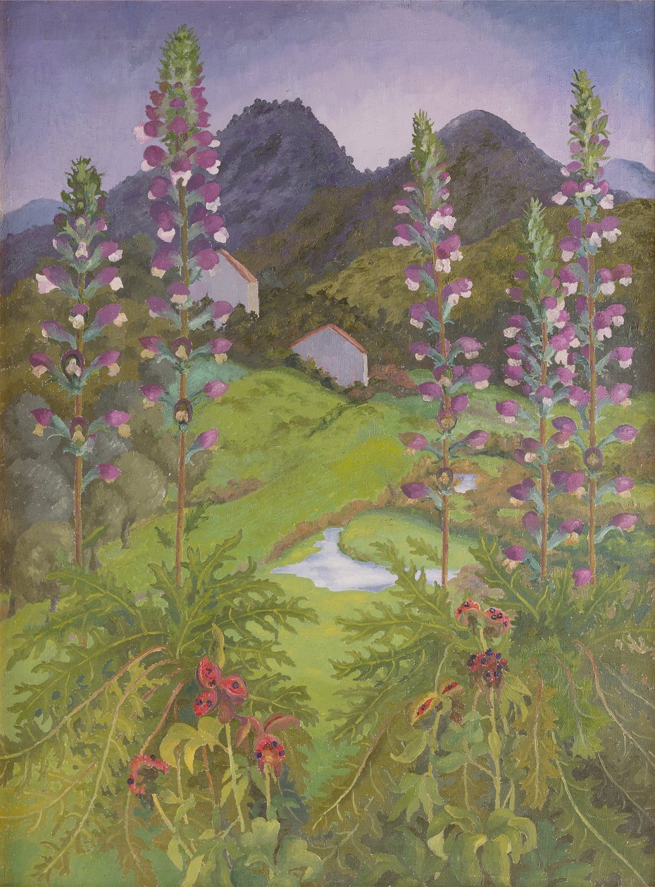 Akantus by Cedric Morris