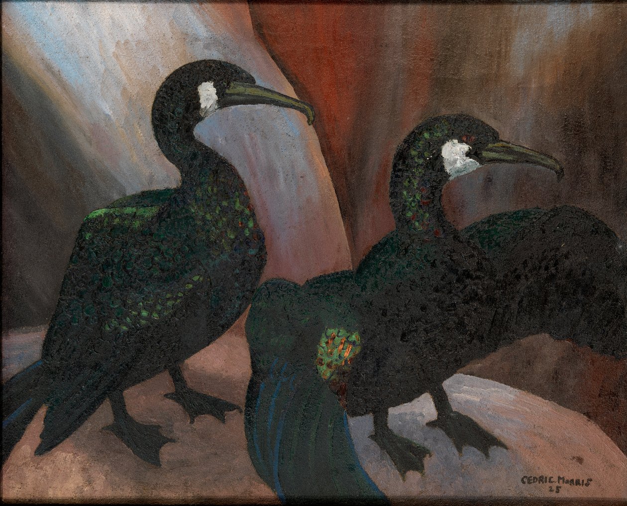 yeşil karabataklar by Cedric Morris