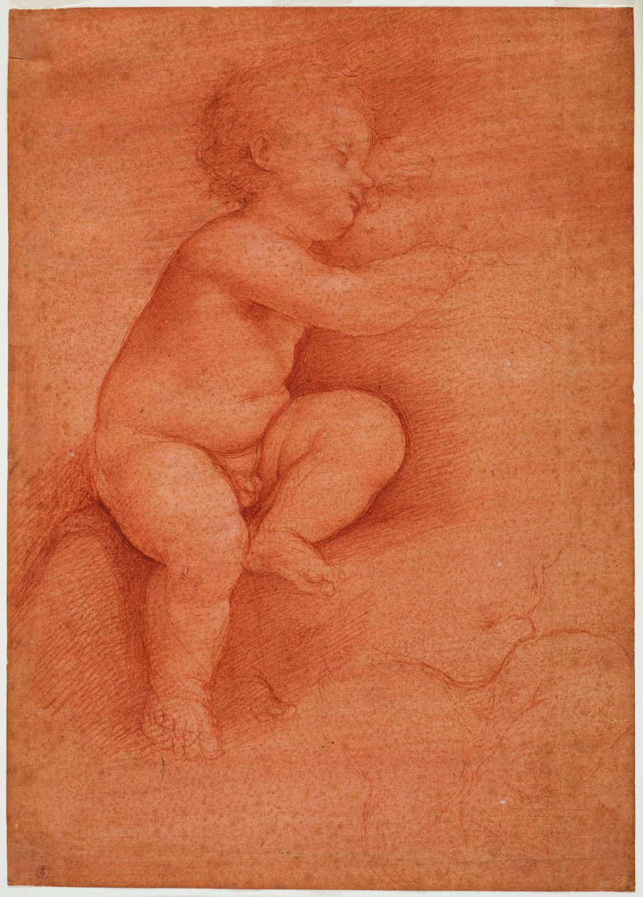 Putto çalışması (Bebek İsa), 16. yüzyılın başlarında (kırmızı hazırlanmış kağıt üzerinde kan) by Cesare da Sesto