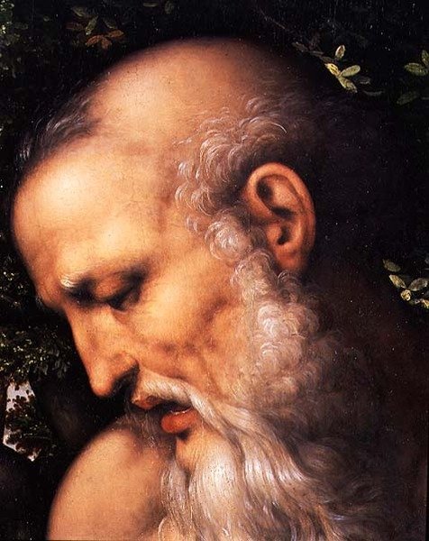 Aziz Jerome, azizin başının detayı (panelde yağlı boya) (112517 detayı) by Cesare da Sesto