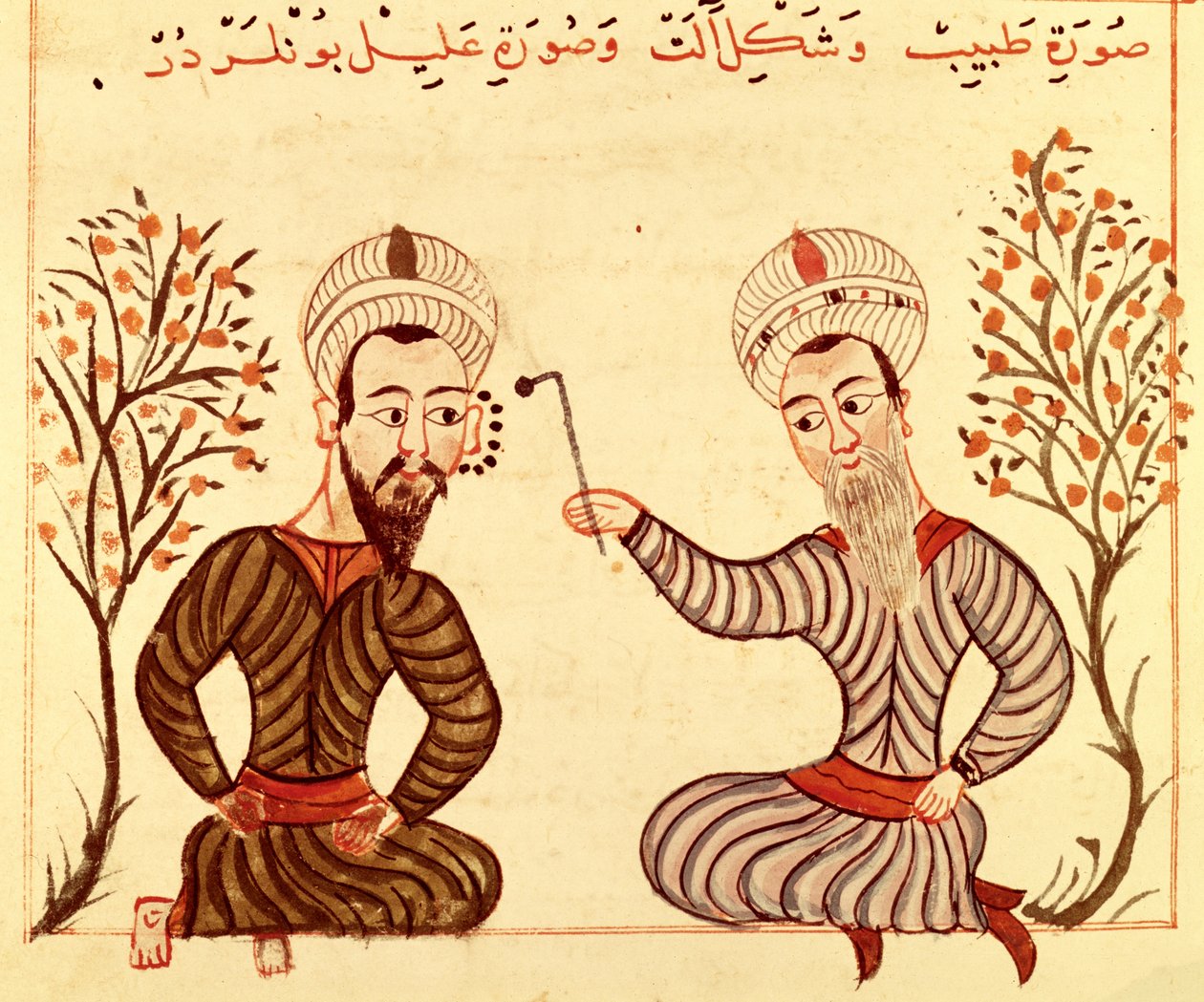 Ms Sup Turc 693 fol.20 Migrenin Koterizasyonu, 1466 by Charaf ed Din