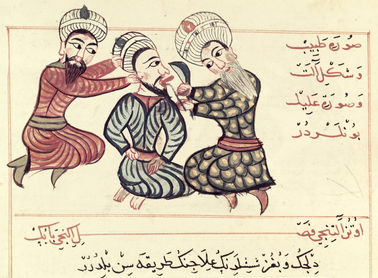 Ms Sup Turc 693 fol.76v Dil altından bir ranulanın çıkarılması, 1466 by Charaf ed Din