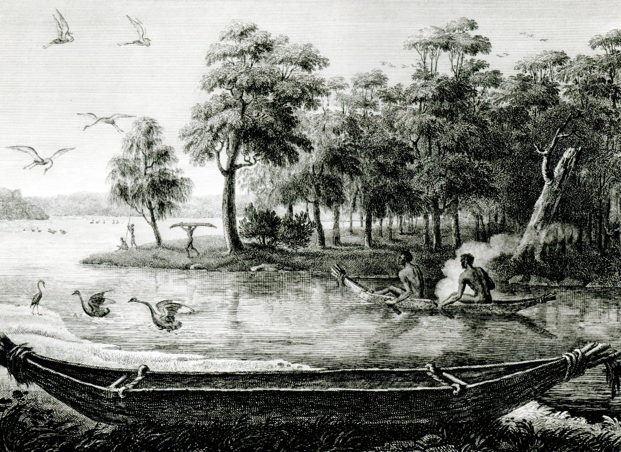 New Holland: New South Wales   by Charles Alexandre Lesueur