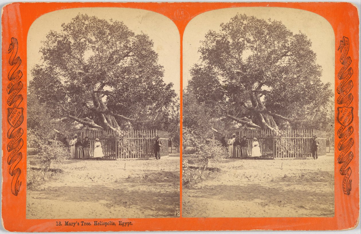 Meryem Ağacı. Heliopolis, Mısır. by Charles Bierstadt