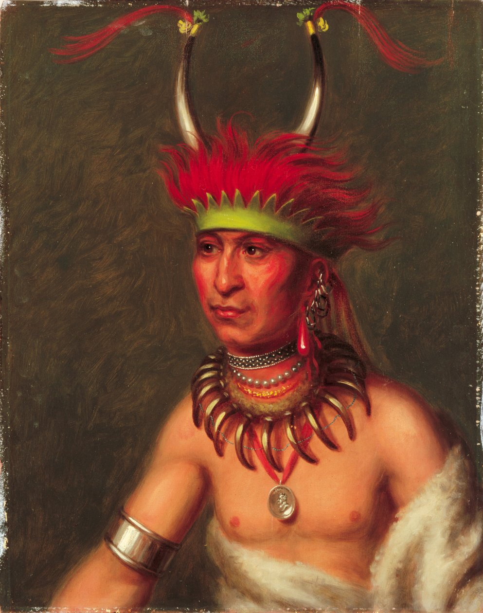 Monchousia (Beyaz Tüy), Kanser by Charles Bird King