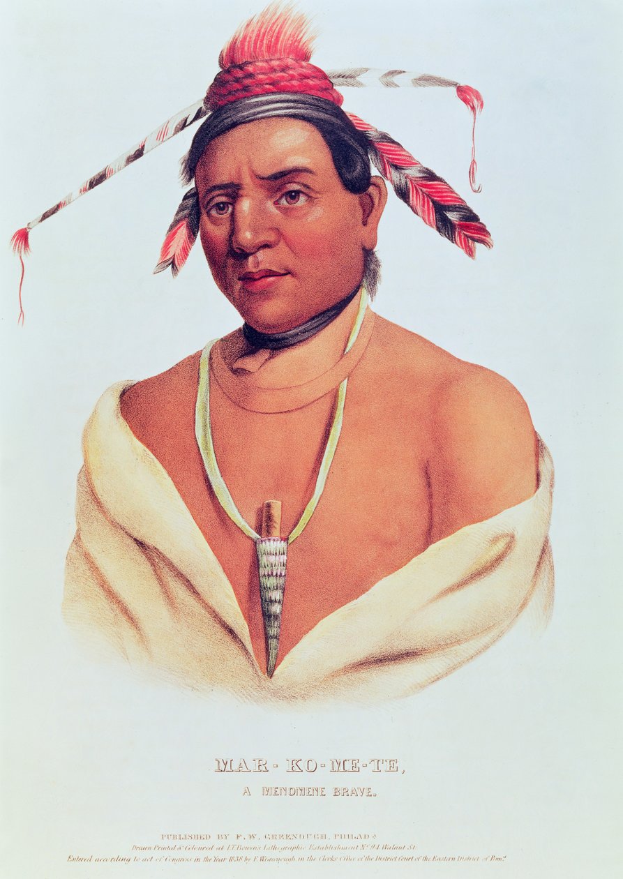 Portrait of Mar-Ko-Me-Te, A Menomene Brave, 1838  by Charles Bird King