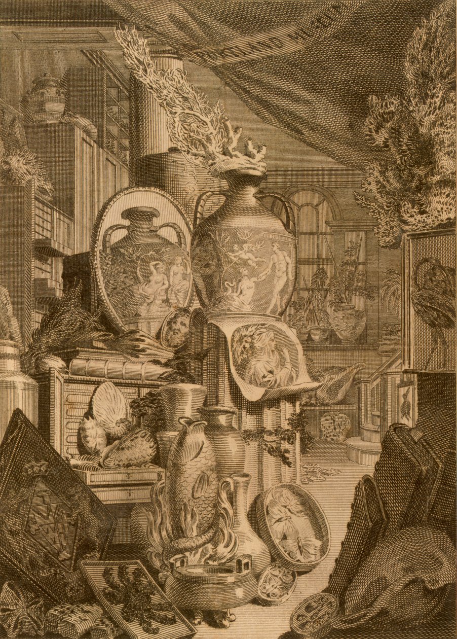 Portland Müzesi, 1786 by Charles Burney