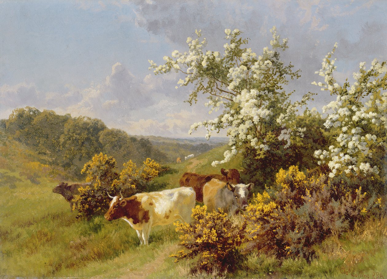 Mayıs Çiçeği by Charles Collins