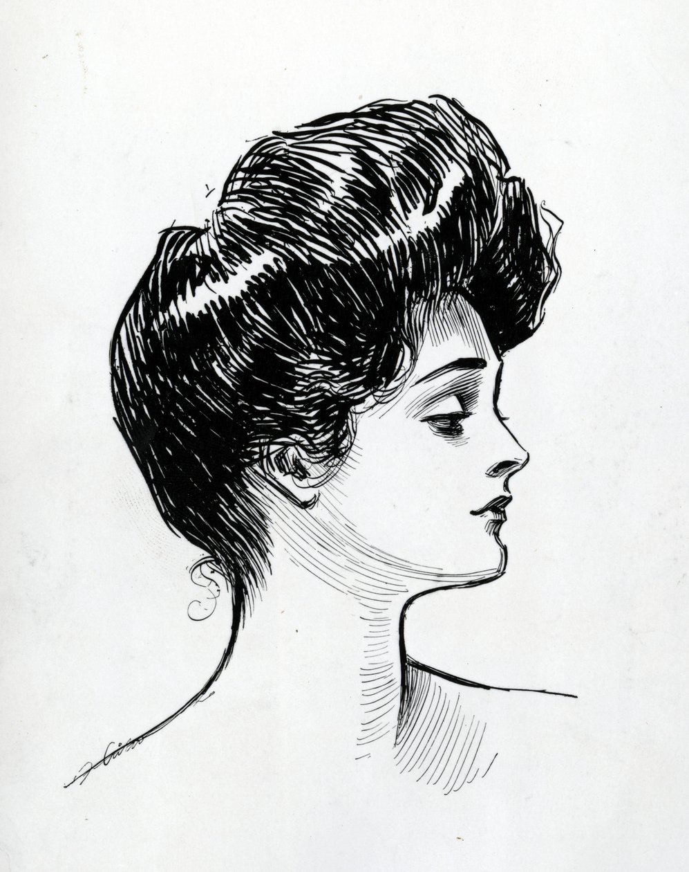 A Gibson Girl, 1902  by Charles Dana Gibson
