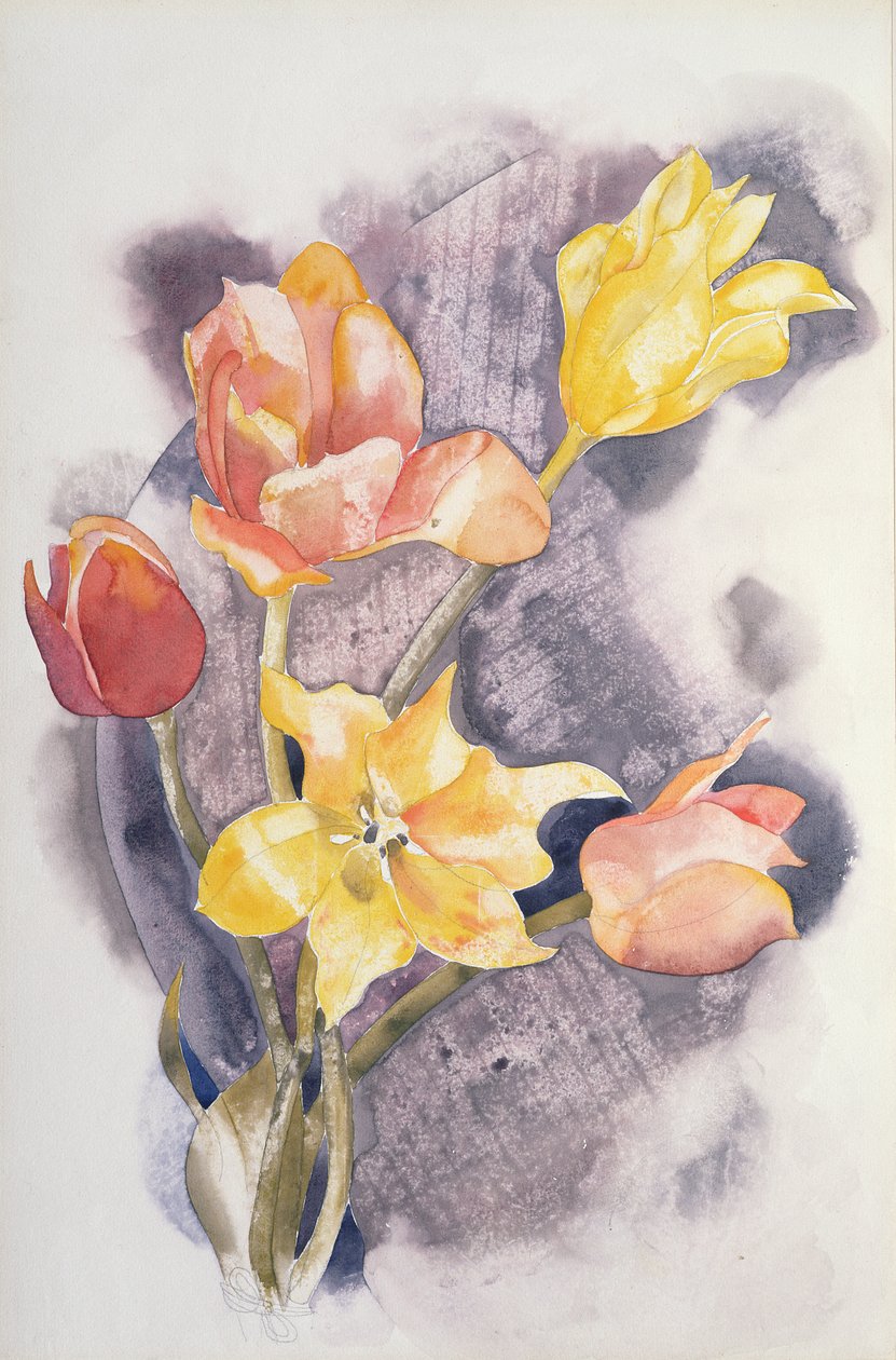 ಬೊಕೆ, ಸಿ.1923 ಟರ್ಕ್ by Charles Demuth
