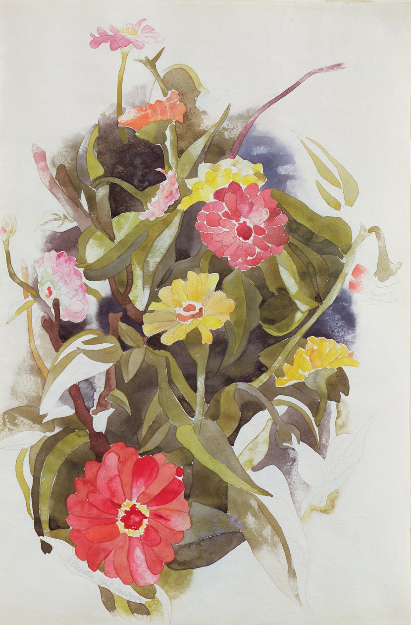 Zinnias, 1920 (kağıt üzerinde wc) by Charles Demuth