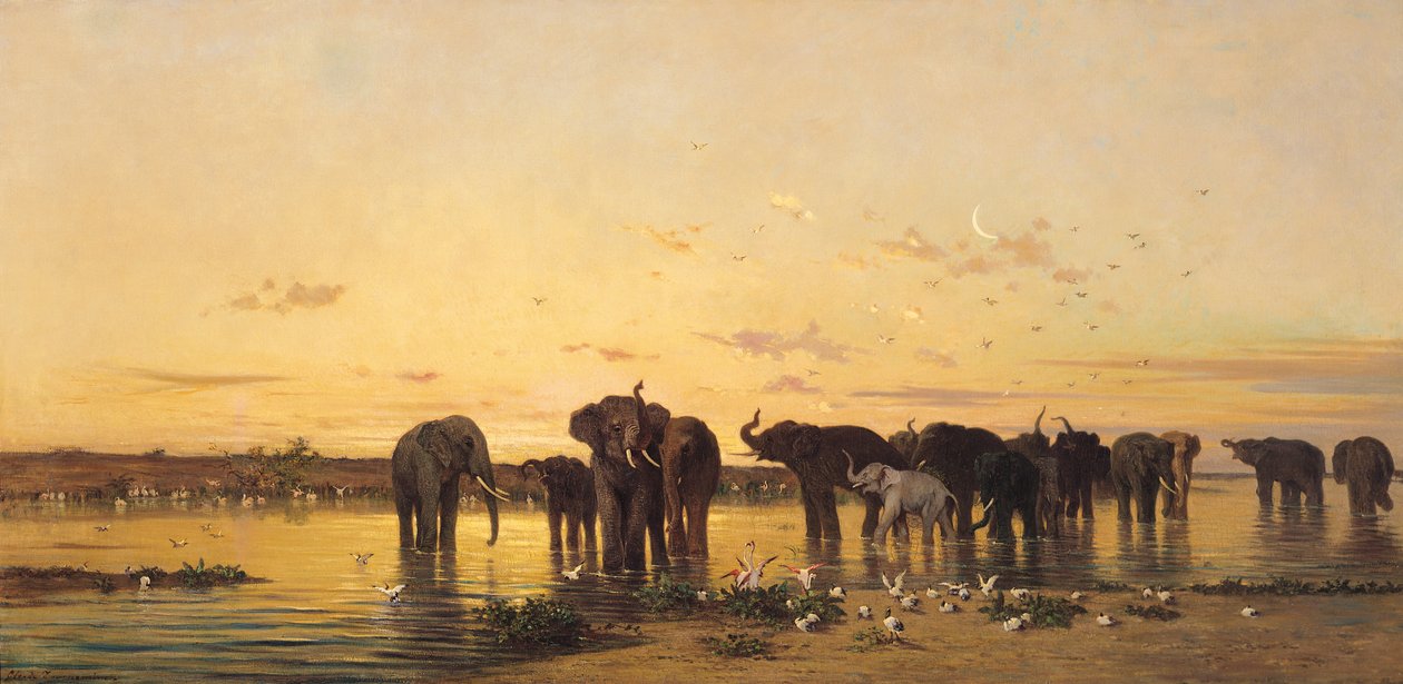 Afrika Filleri by Charles Émile de Tournemine
