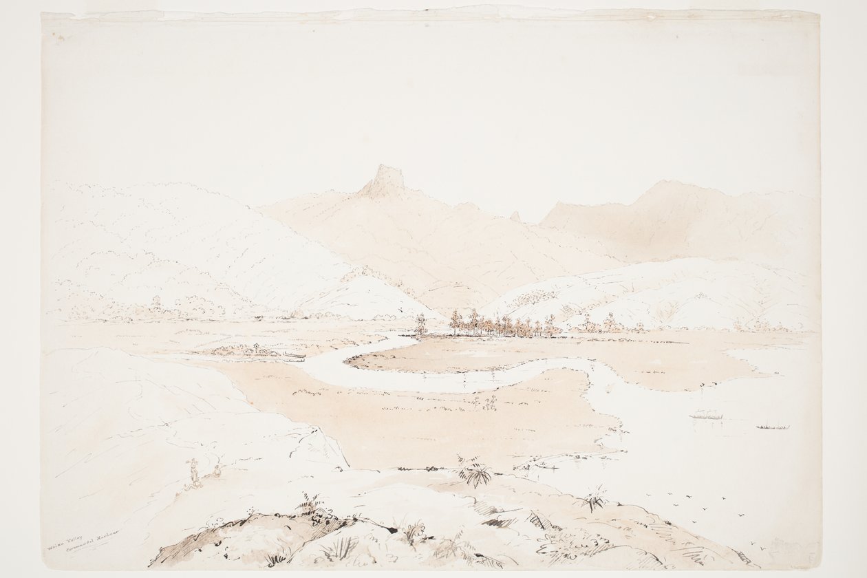 Waiau Vadisi Coromandel Limanı by Charles Heaphy