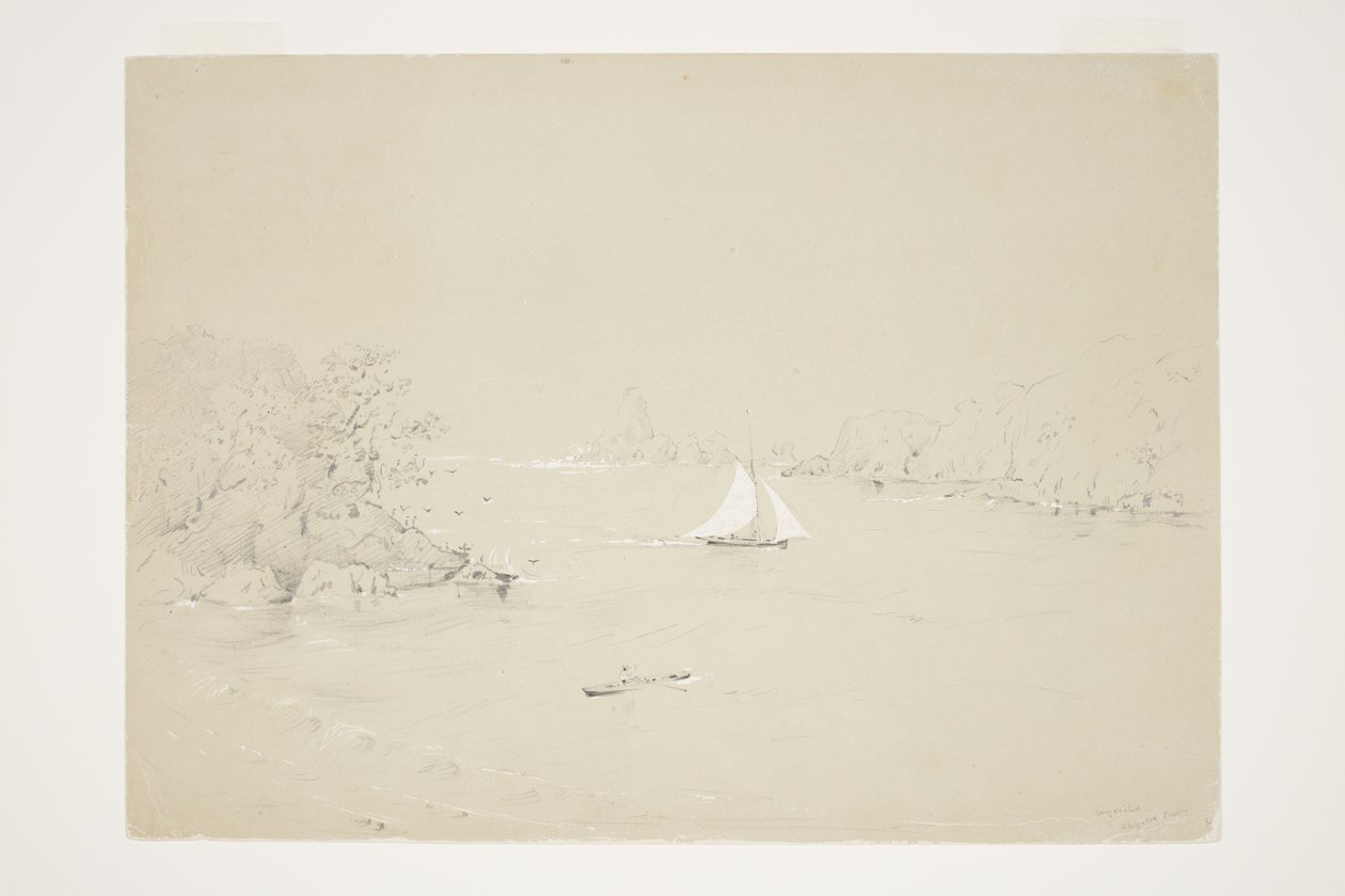 Wangaaihu Wangaroa Sahili by Charles Heaphy