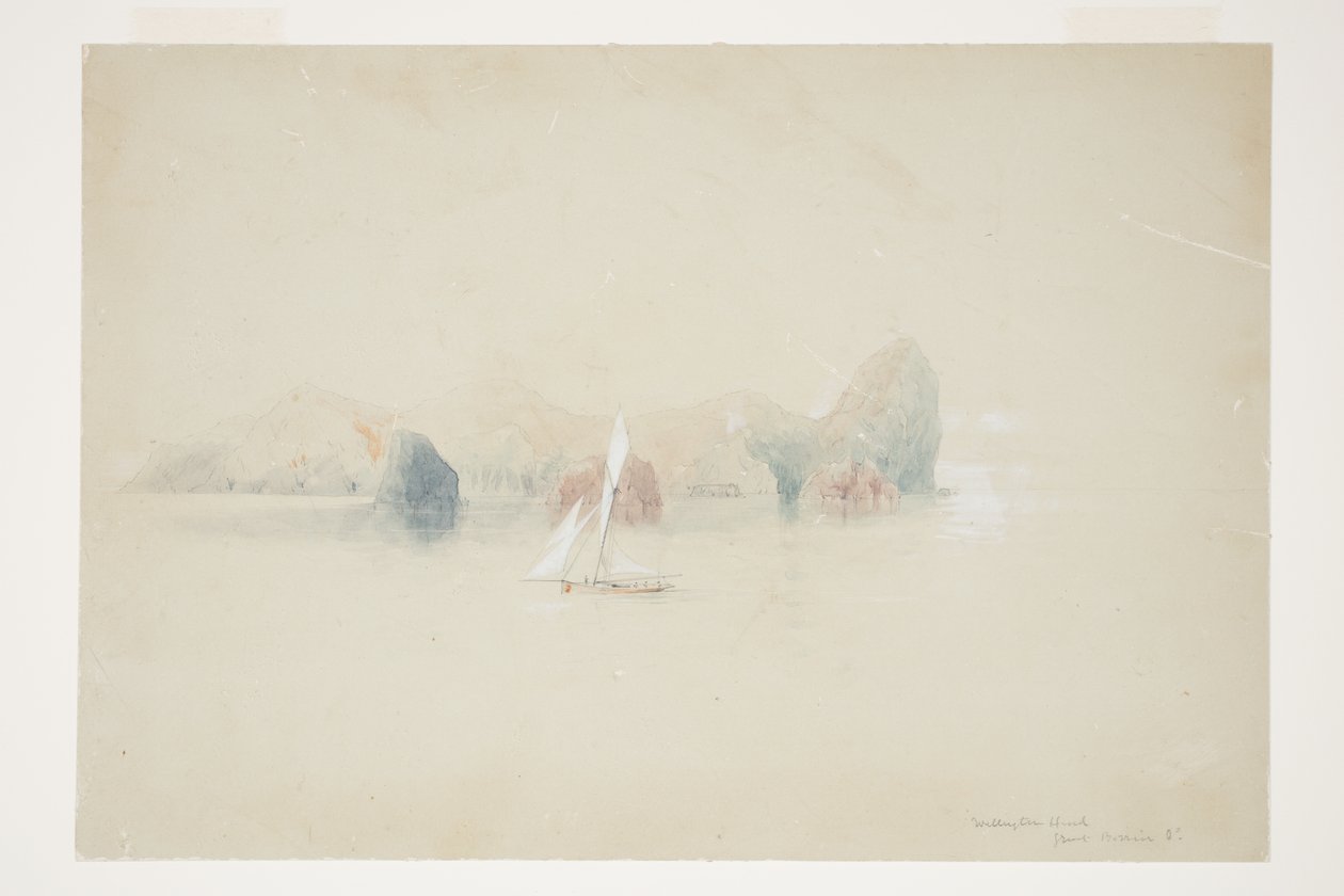 Wellington Head, Büyük Bariyer Kimliği by Charles Heaphy