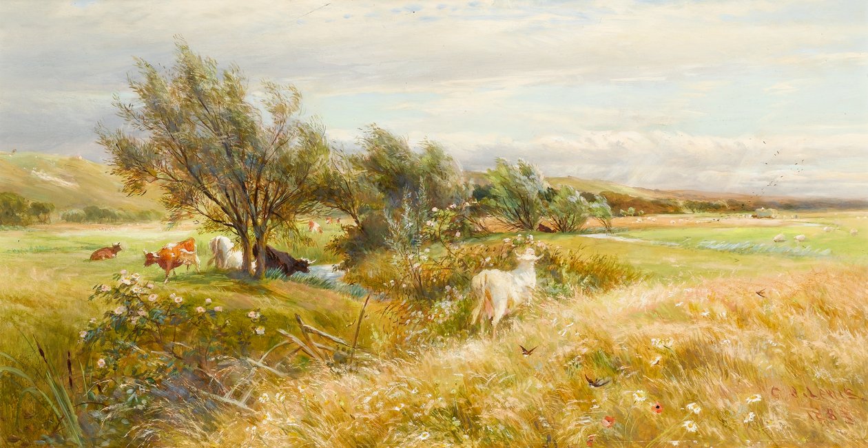 Su Çayırında Sığır (kağıt üzerinde yağlı boya) by Charles James Lewis