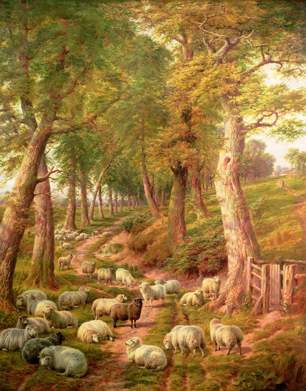 Koyunlu Peyzaj by Charles Jones
