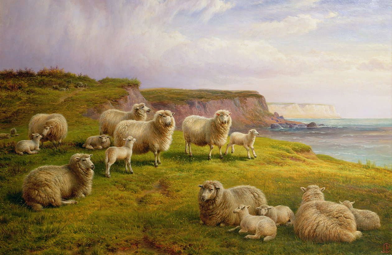 Dorset Sahilinde Koyunlar by Charles Jones