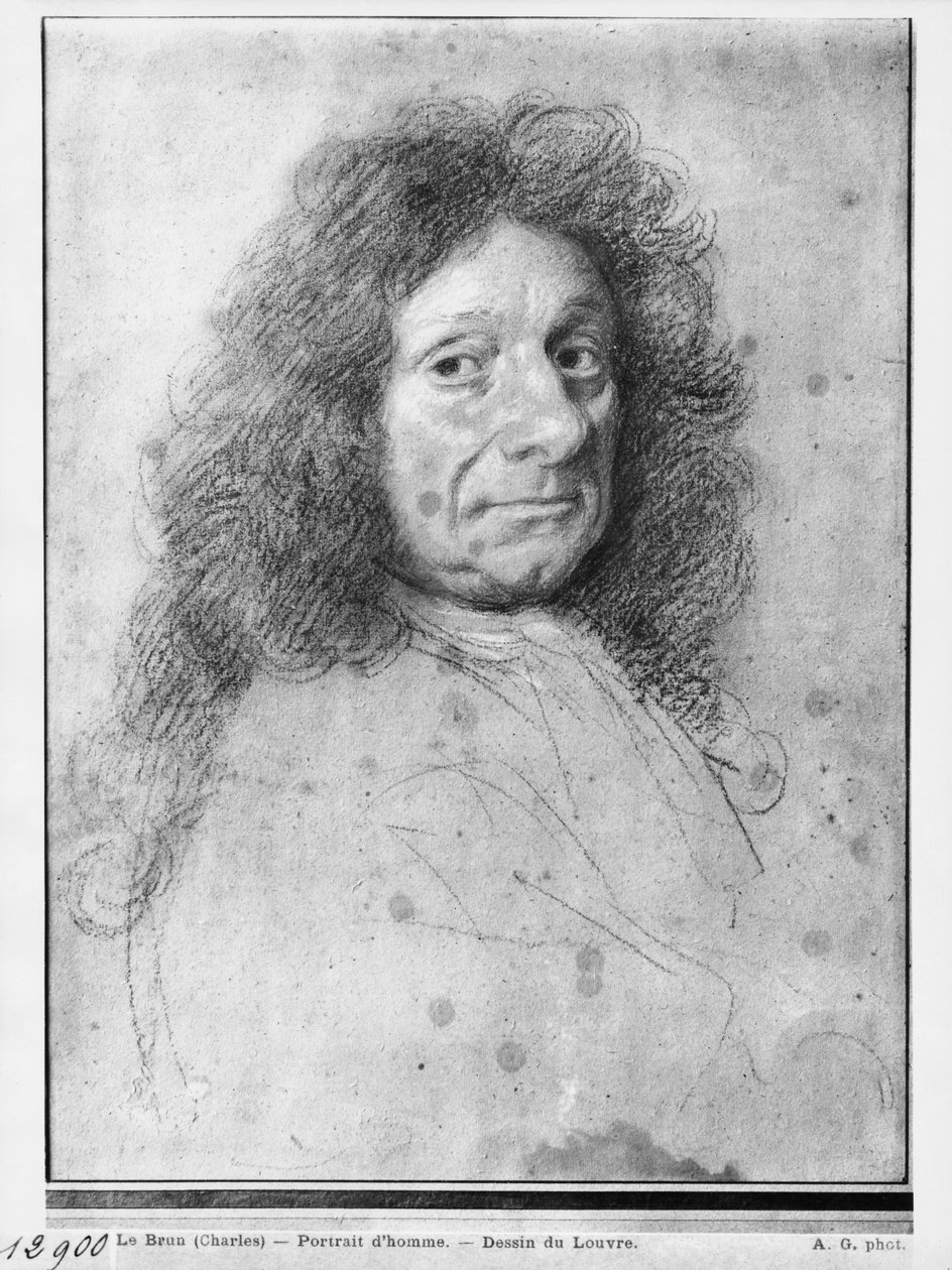Sağa dönük bir adamın portresi (gri bej kağıt üzerinde pastel ve karakalem) by Charles Le Brun
