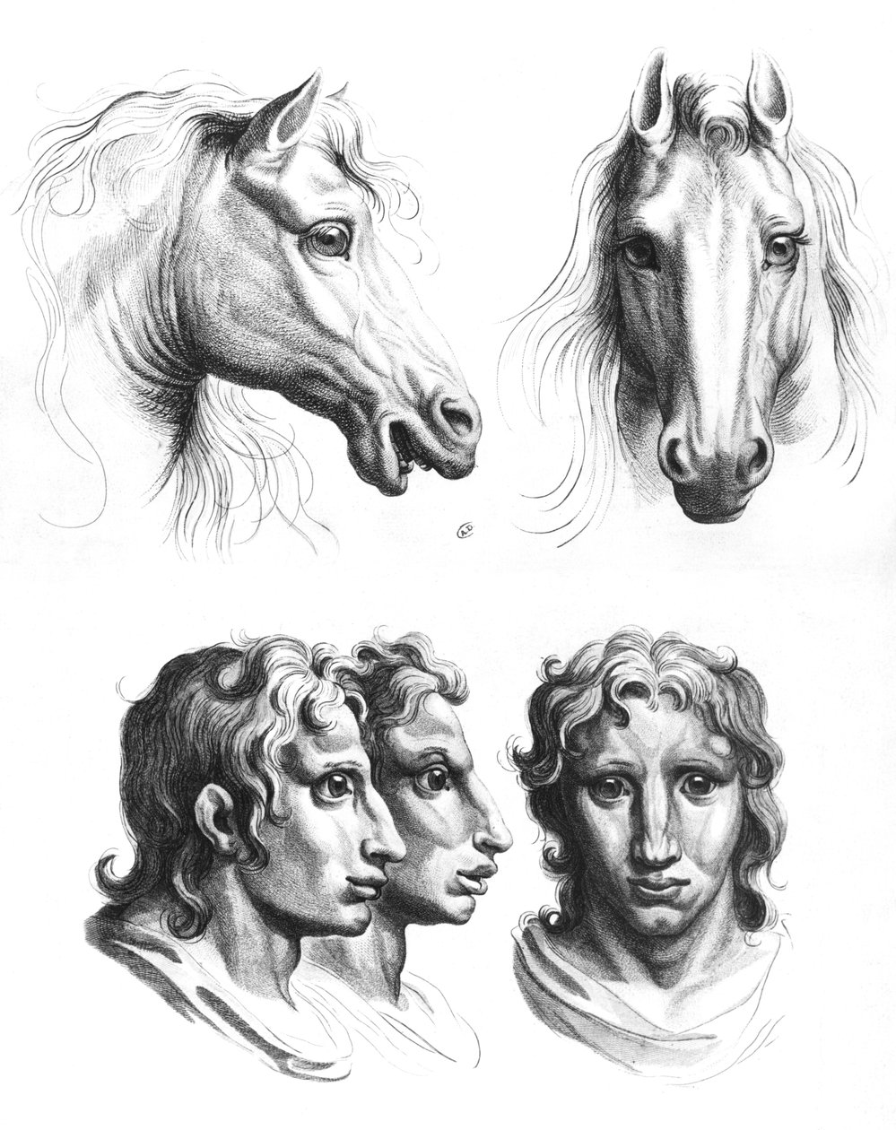 Bir atın başları ile bir insan arasındaki benzerlikler, Le Brun tarafından 'Çizmeye Başlayanlar için Portre Kitabı'ndan by Charles Le Brun