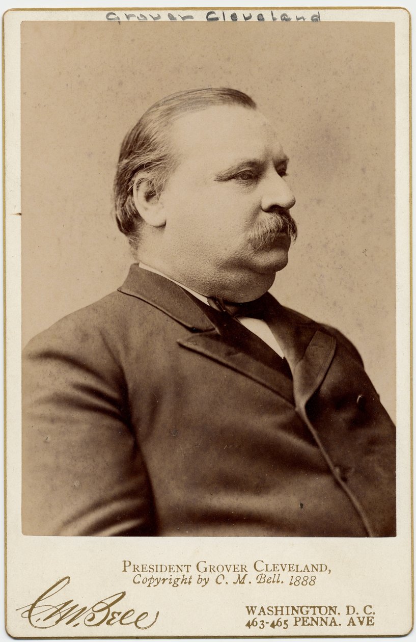 Stephen Grover Cleveland (1837-1908), Amerika Birleşik Devletleri