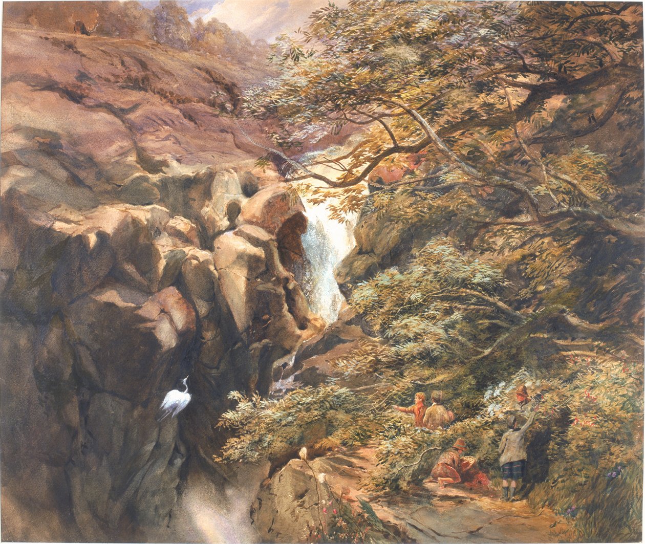 Falls of Bran (kağıt üzerinde gövde rengi ve klozet) by Charles Richardson