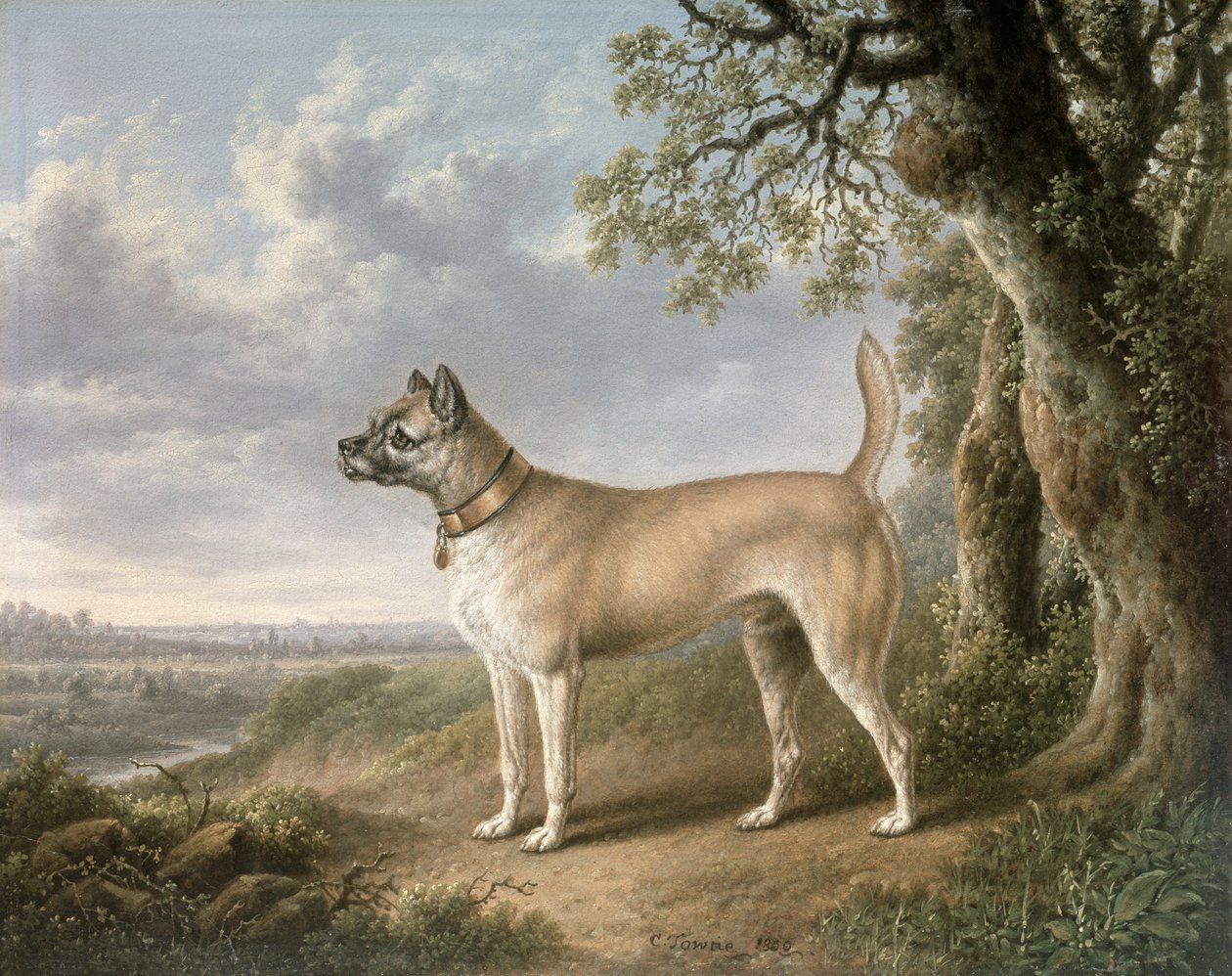 Ormanlık bir arazide bir yolda bir Terrier by Charles Towne