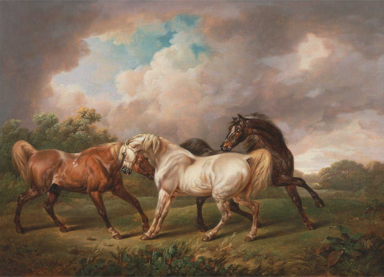 Fırtınalı Bir Manzarada Üç At by Charles Towne