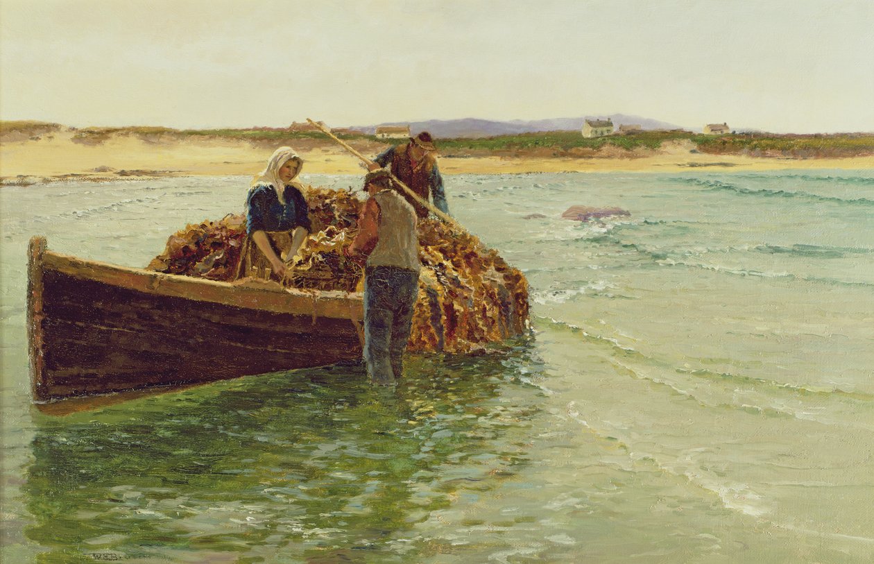 Yosun Otu Boşaltma by Charles William Bartlett