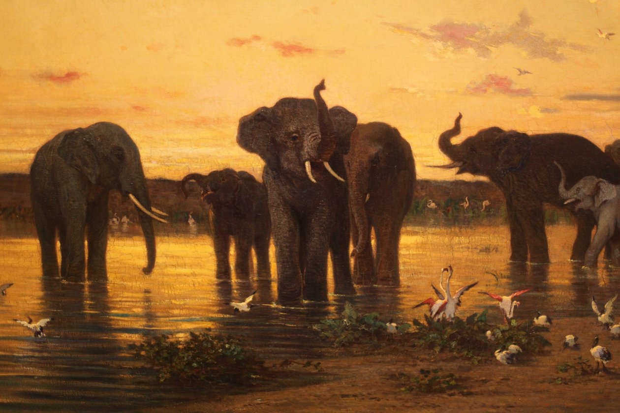 Afrika filleri by Charles Émile de Tournemine