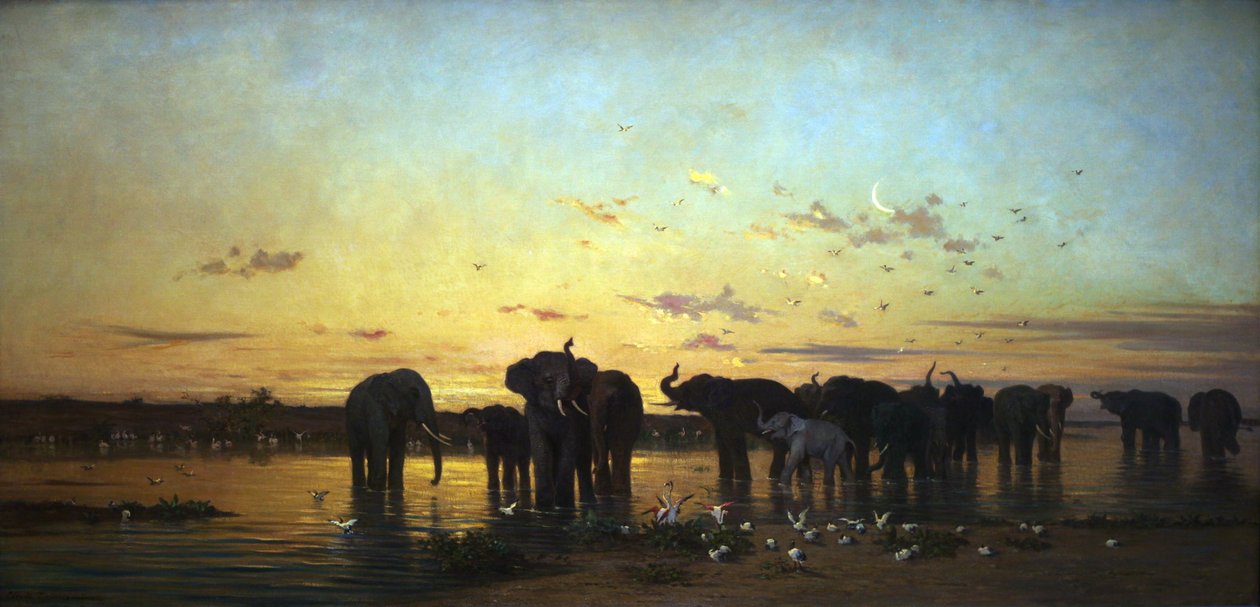 Afrika filleri by Charles Émile de Tournemine