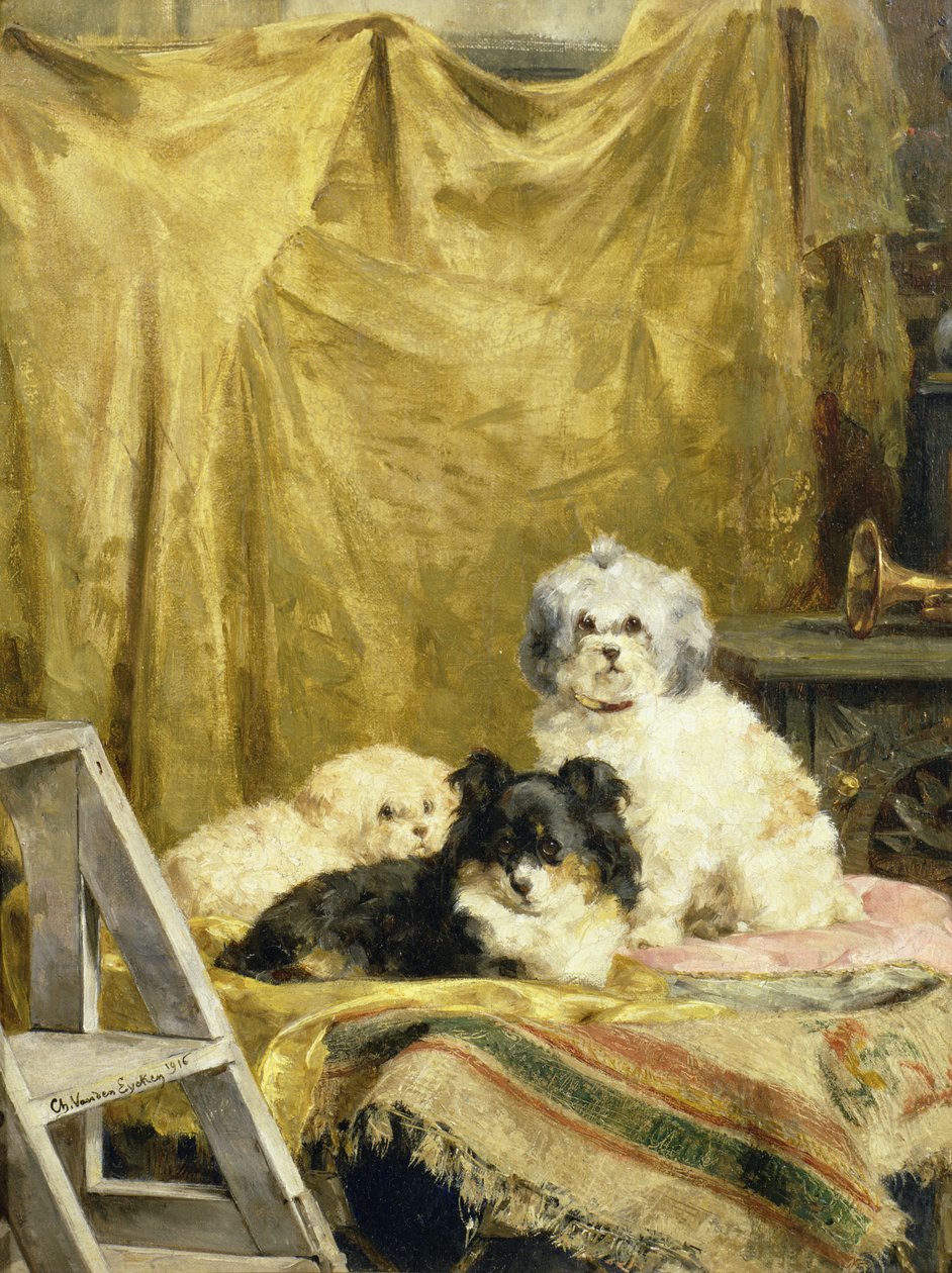 Üç köpek by Charles van den Eycken
