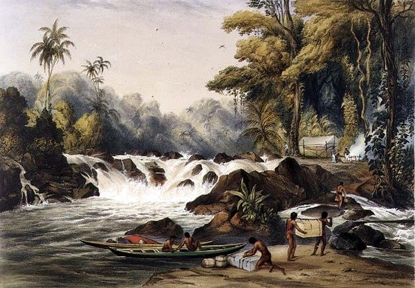 Berbice Nehri Üzerinde Noel Kataraktı, Paul Gauci (fl.1834-67) pub tarafından oyulmuş 