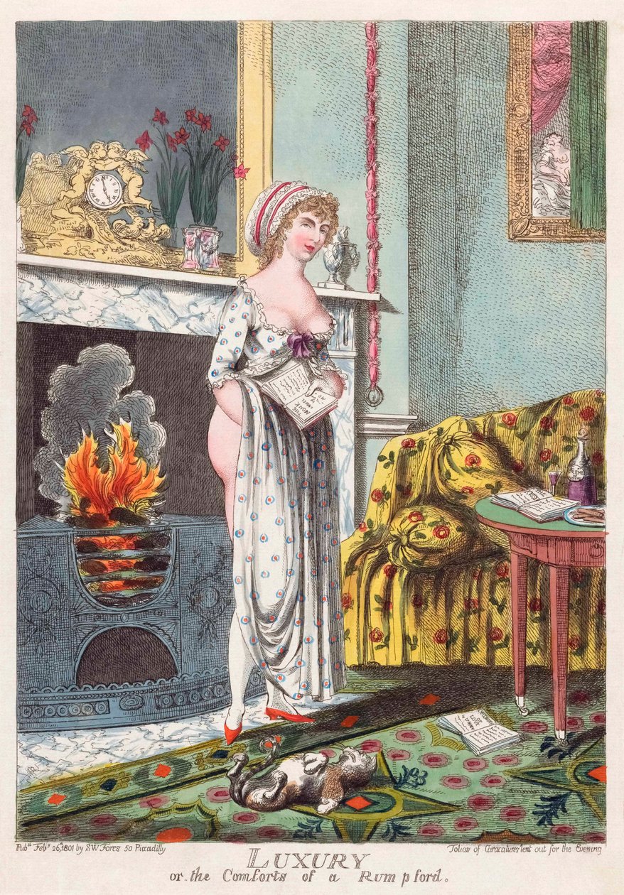 Rum p ford sobanın konforu (renkli gravür) by Charles (after) Williams