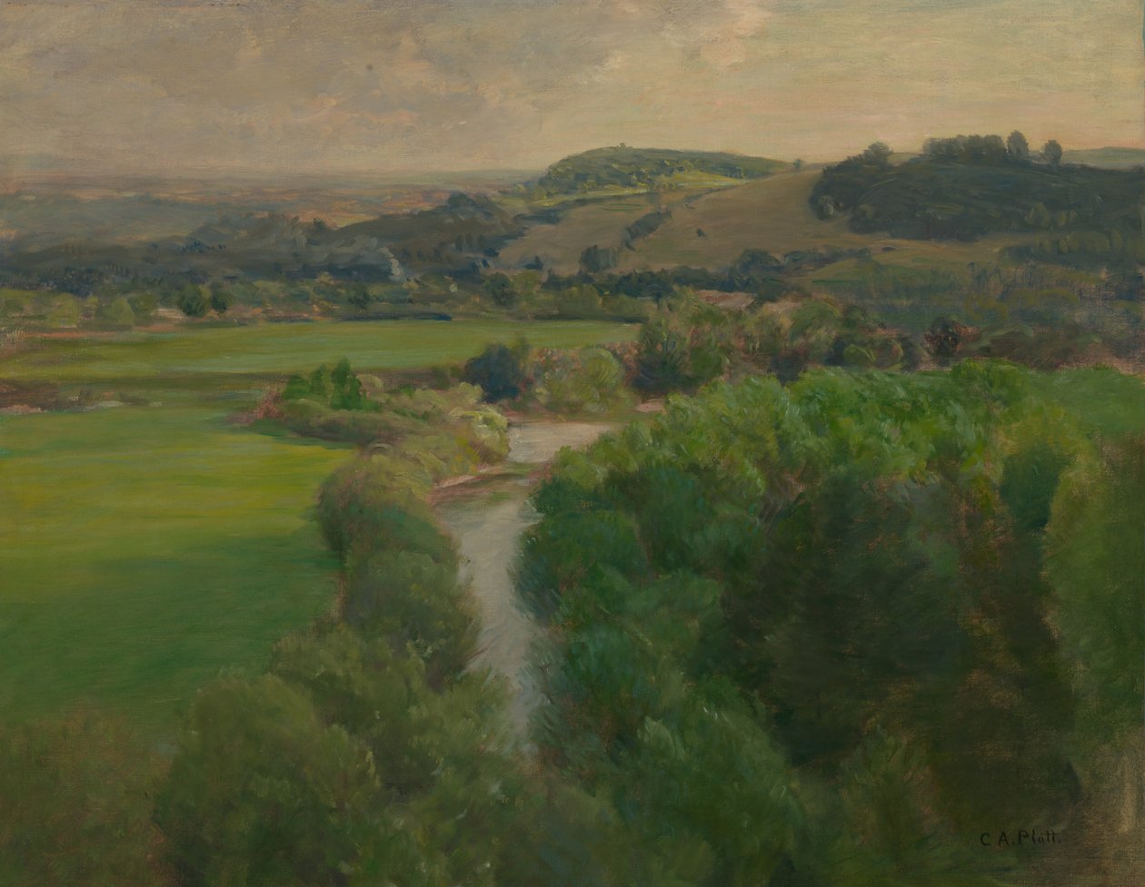  by Charles A. Platt