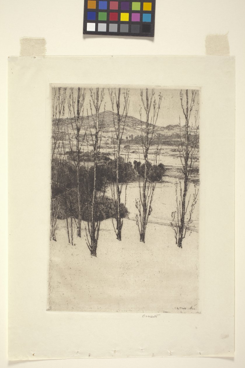 Dağ (mürekkep) by Charles Adams Platt