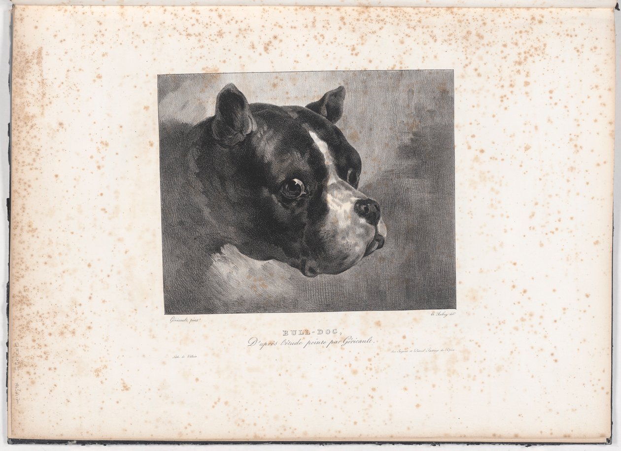 Boğa-Köpek by Charles Aubry