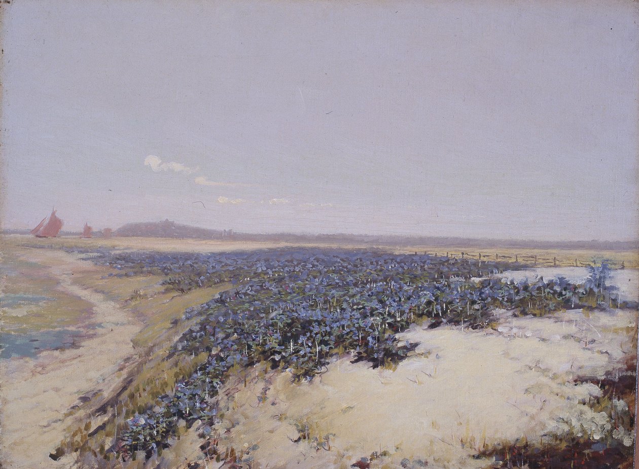 Çiçeklerle Kaplı Kumullar (tuval üzerine yağlıboya) by Charles Augustus Lasar