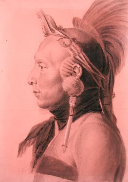 Bir Kızılderili portresi, muhtemelen Shahaka, Mandan Şefi (renkli kağıt üzerine kurşun kalem ve karakalem) by Charles Balthazar Julien Févret de Saint Mémin