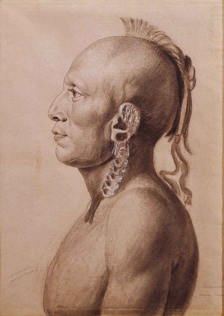 Cachasunghia, bir Osage Warrior, 1806 (kağıt üzerinde kurşun kalem ve karakalem) by Charles Balthazar Julien Févret de Saint Mémin