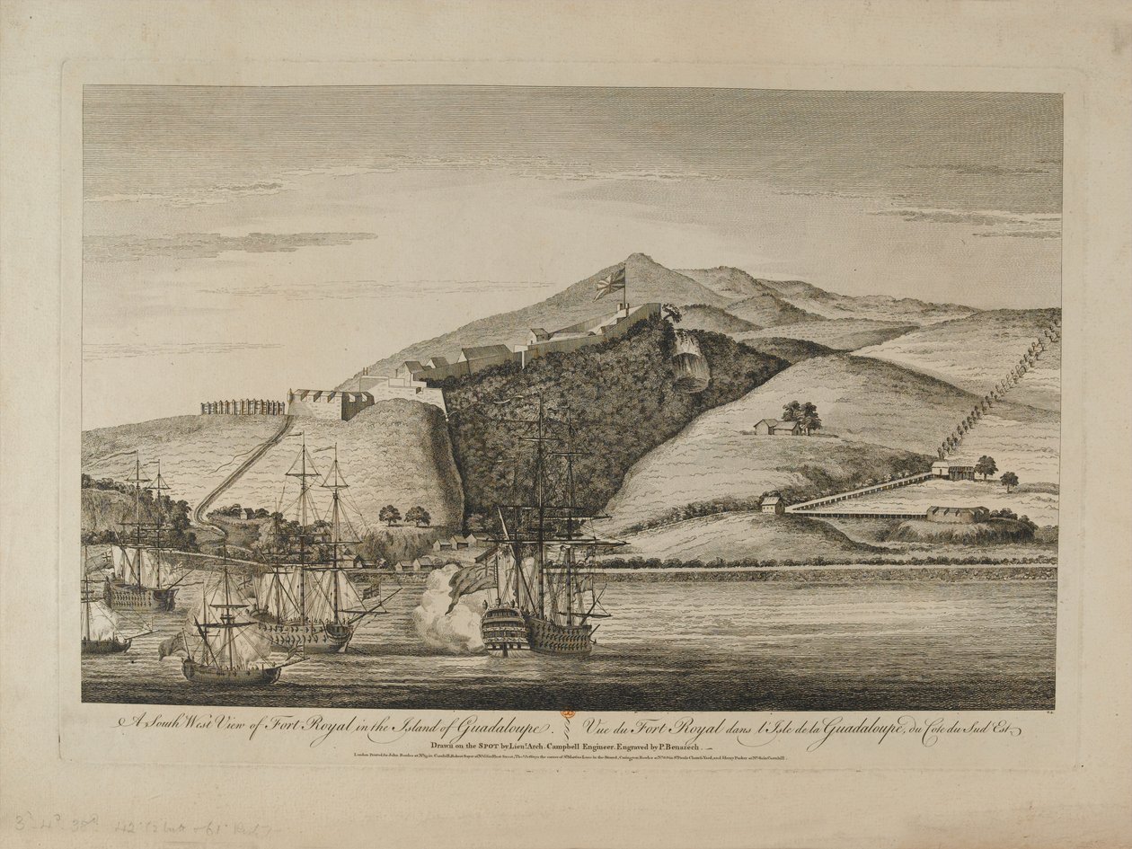 ?Guadaloupe Adası