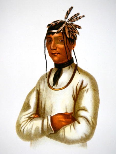 Chippewa Kabilesinin Caatousee