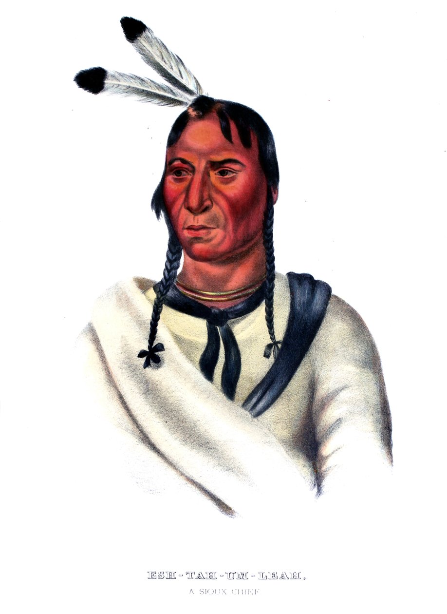 Eshtahumbah (Uykulu Gözler), bir Siyu şefi by Charles Bird King