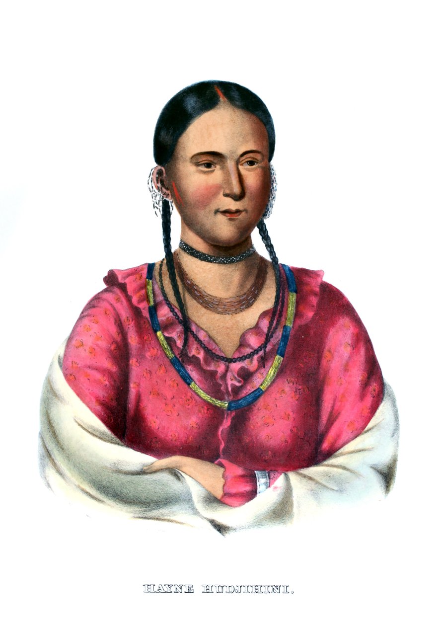 Hayne Hudjihini veya Zevk Kartalı by Charles Bird King