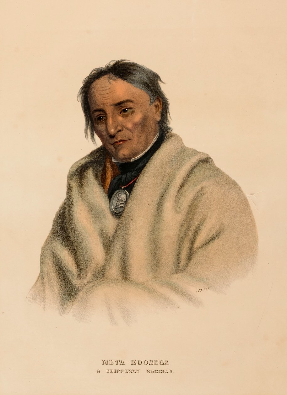  by Charles Bird King