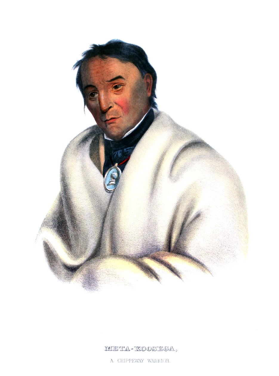 Metakoosega (