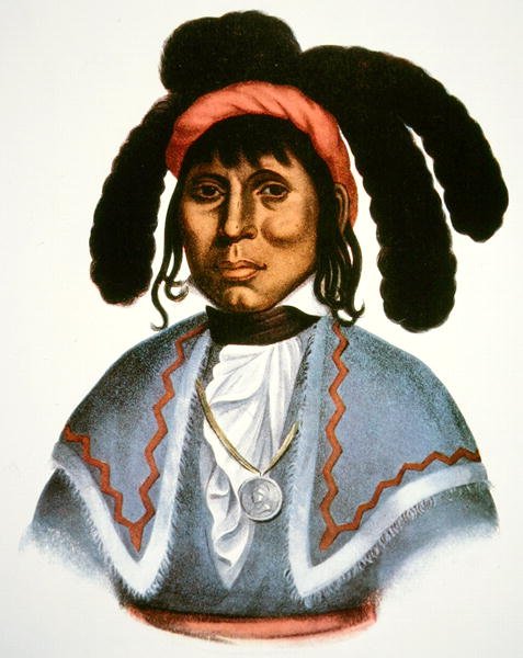 Micanopy (d.1849) c.1826 (renkli lito) by Charles Bird King