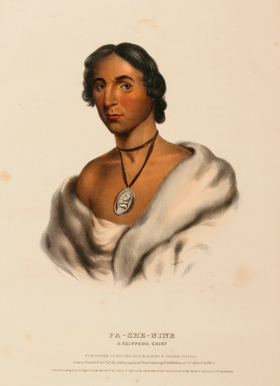  by Charles Bird King