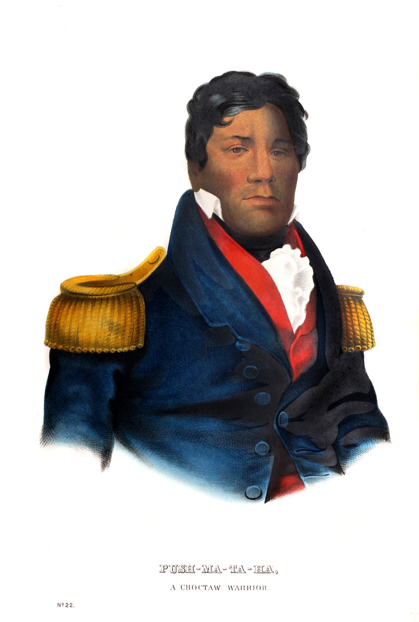 Pushmataha, bir Choctaw savaşçısı by Charles Bird King